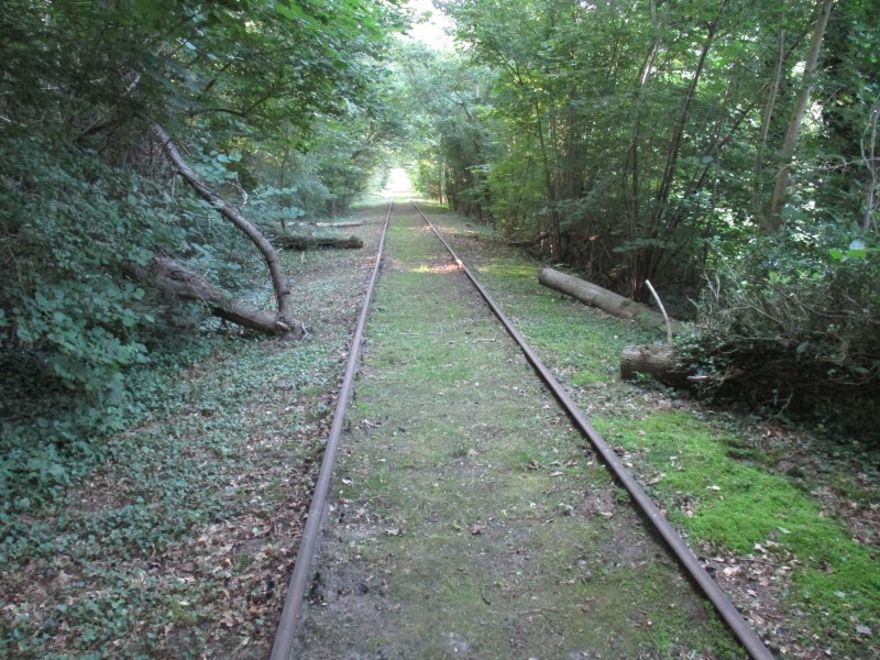 ZWNEGI3